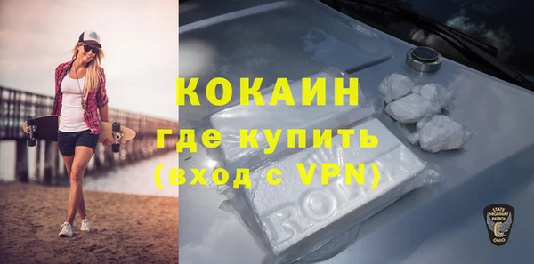 твердый Ладушкин