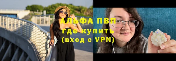 твердый Ладушкин