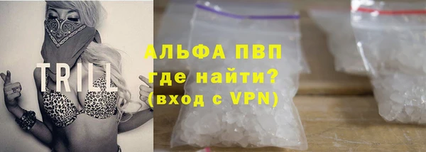 твердый Ладушкин