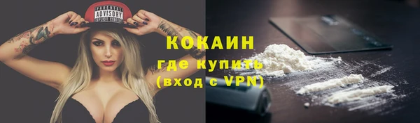 твердый Ладушкин