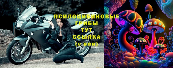твердый Ладушкин