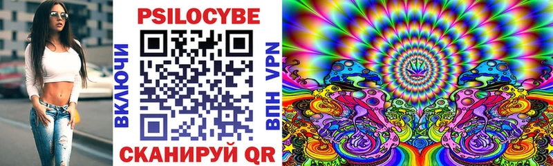 Галлюциногенные грибы Psilocybe  блэк спрут как зайти  Заволжск 
